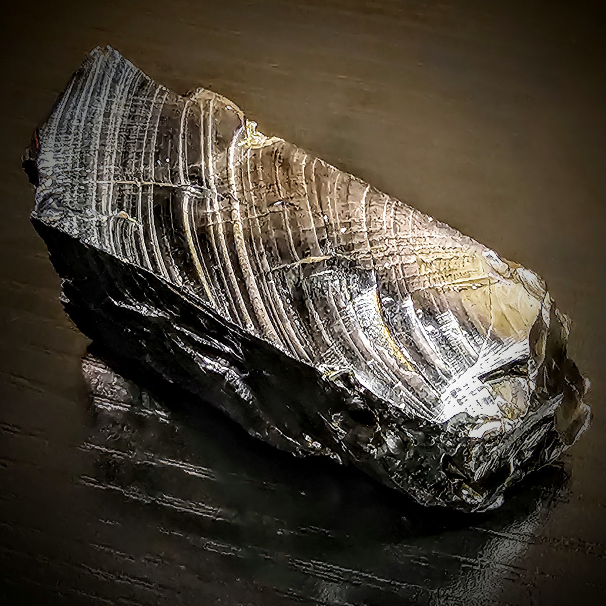 Raw Shungite specimen from the Medvezhyegorsky District. Photo by CrystalBethMoonbeam, CC BY-SA 4.0 via Wikimedia Commons.