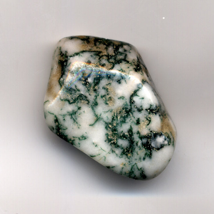 Tree Agate pebble showing green branching dendritic patterns on a pale chalcedony background. Photo by Adrian Pingstone, public domain via Wikimedia Commons.