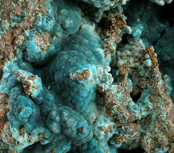 Botryoidal blue-green Rosasite from the Ojuela Mine, Durango, Mexico. Photo by Robert M. Lavinsky / iRocks.com, CC BY-SA 3.0 via Wikimedia Commons.