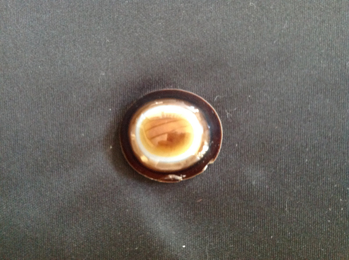 Top view of a Sardonyx stone showing banded coloration. Photo by Warclachaja, CC BY-SA 4.0 via Wikimedia Commons.