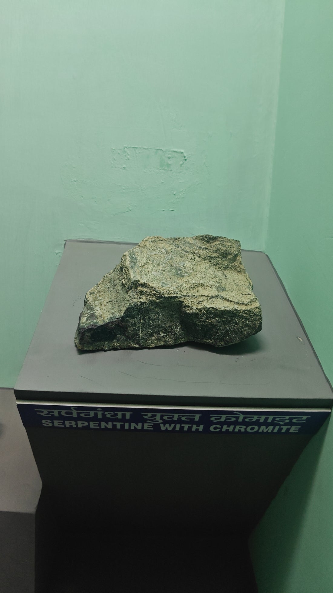 Serpentine-bearing green rock with chromite, illustrating serpentine minerals in altered ultramafic material. Photo by Anushka10patel, CC BY 4.0 via Wikimedia Commons.