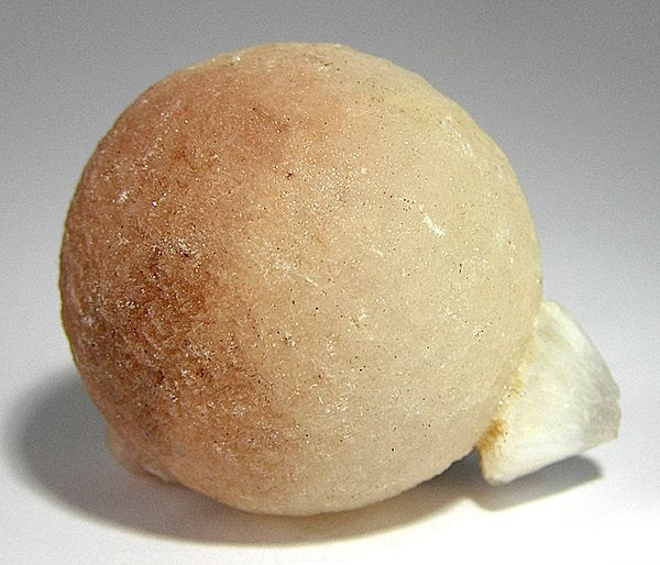 Thomsonite mineral specimen from Aurangabad District, Maharashtra, India. Photo by Robert M. Lavinsky / iRocks.com, CC BY-SA 3.0 via Wikimedia Commons.