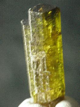 Natural Tourmaline crystal specimen. Photo by Robert M. Lavinsky / iRocks.com, CC BY-SA 3.0 via Wikimedia Commons.