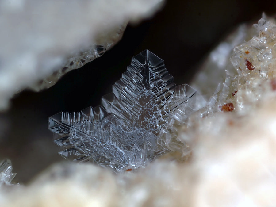Skeleton-like Tridymite from Wannenköpfe, Ochtendung, Eifel, Germany. Photo by Fred Kruijen, CC BY-SA 3.0 NL via Wikimedia Commons.