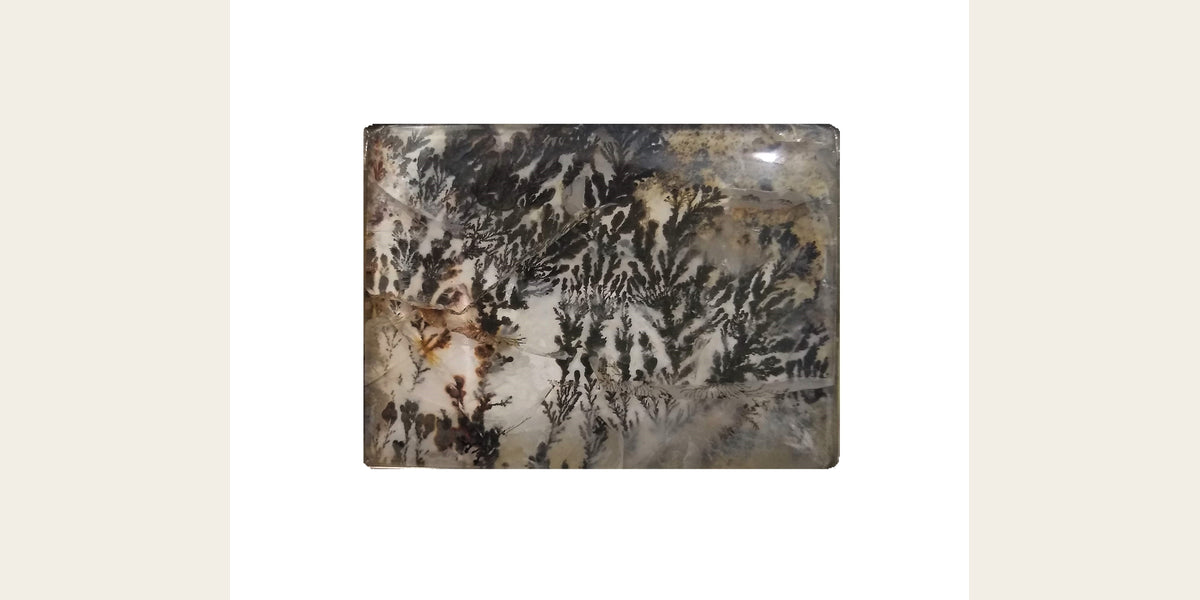 Dendritic agate specimen from Brazil; photo by Mauro Cateb, CC BY-SA 4.0 — Roosters Peacock crystal guide