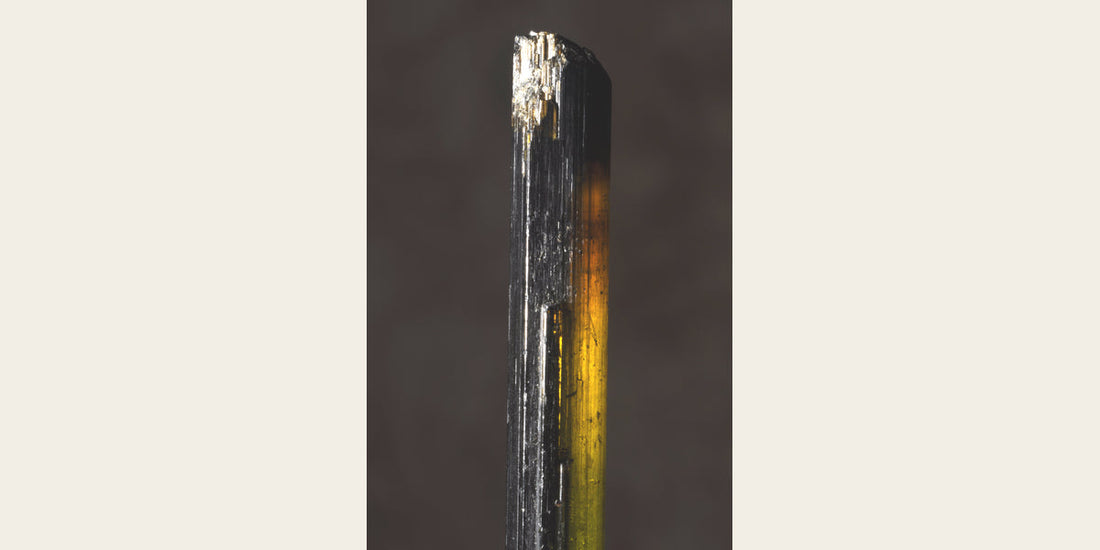 Dravite tourmaline crystal from Brazil; public-domain photo by Géry Parent — Roosters Peacock crystal guide