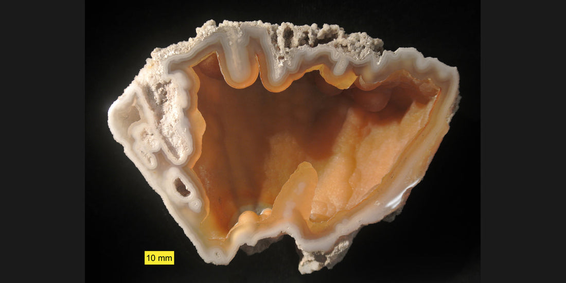 Agatized fossil coral from Florida; photo by Wilson44691, CC0 — Roosters Peacock crystal guide