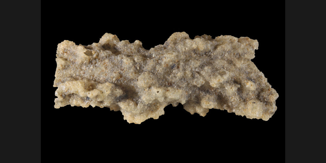Sand fulgurite from the Libyan Desert, Egypt; photo by Rama, CC BY-SA 2.0 FR — Roosters Peacock crystal guide