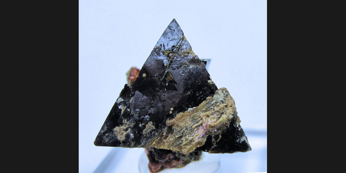 Helvine crystals with andradite from Inner Mongolia; photo by Carles Millan, CC BY 3.0 — Roosters Peacock crystal guide