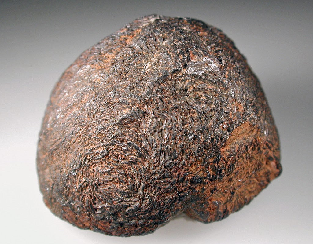 Ixiolite-(Mn2+)–Ixiolite-(Fe2+) series specimen from Namivu Pegmatite, Mozambique; Kelly Nash, CC BY 3.0 — Roosters Peacock crystal guide