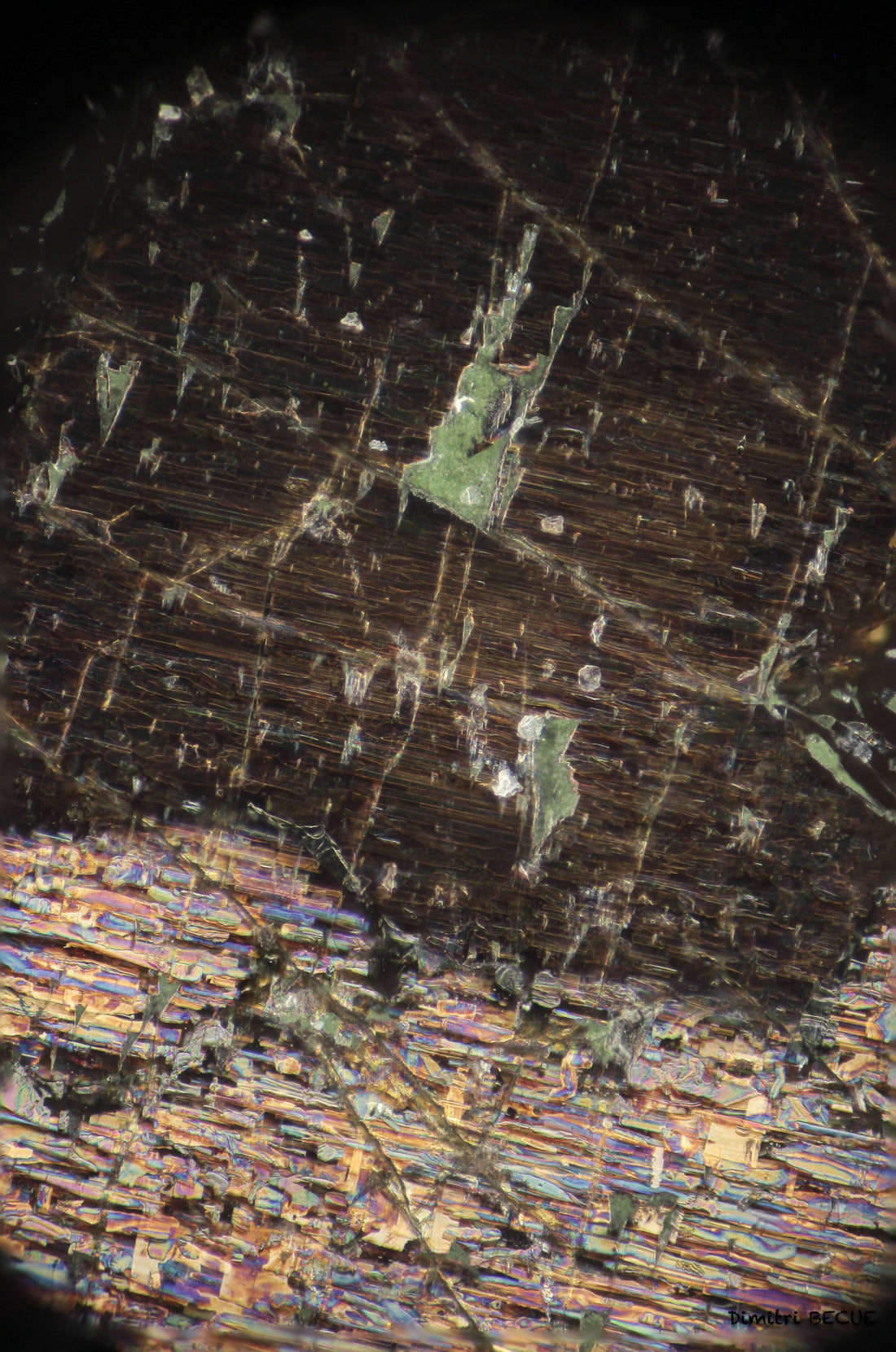 Nuummite metamorphic rock showing iridescent amphibole; photograph by Dimitri Becue, CC BY-SA 4.0 — Roosters Peacock crystal guide