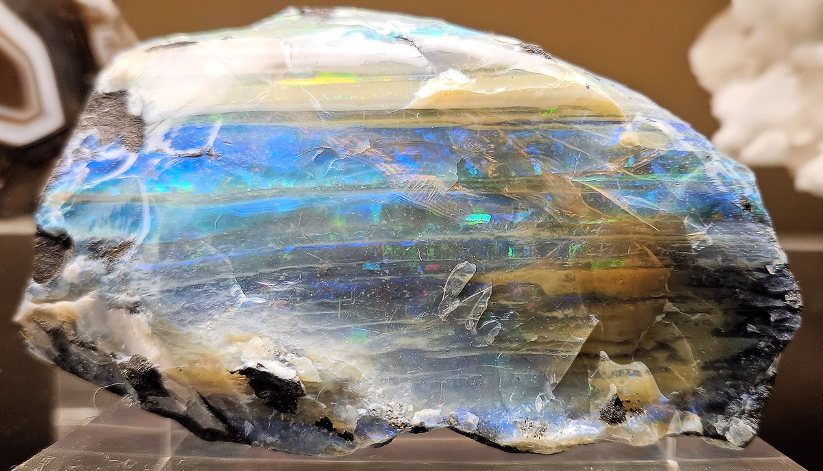 Natural opal specimen from Queensland, Australia, displayed at the Natural History Museum of Los Angeles County; Eric Polk, CC BY-SA 4.0 — Roosters Peacock crystal guide