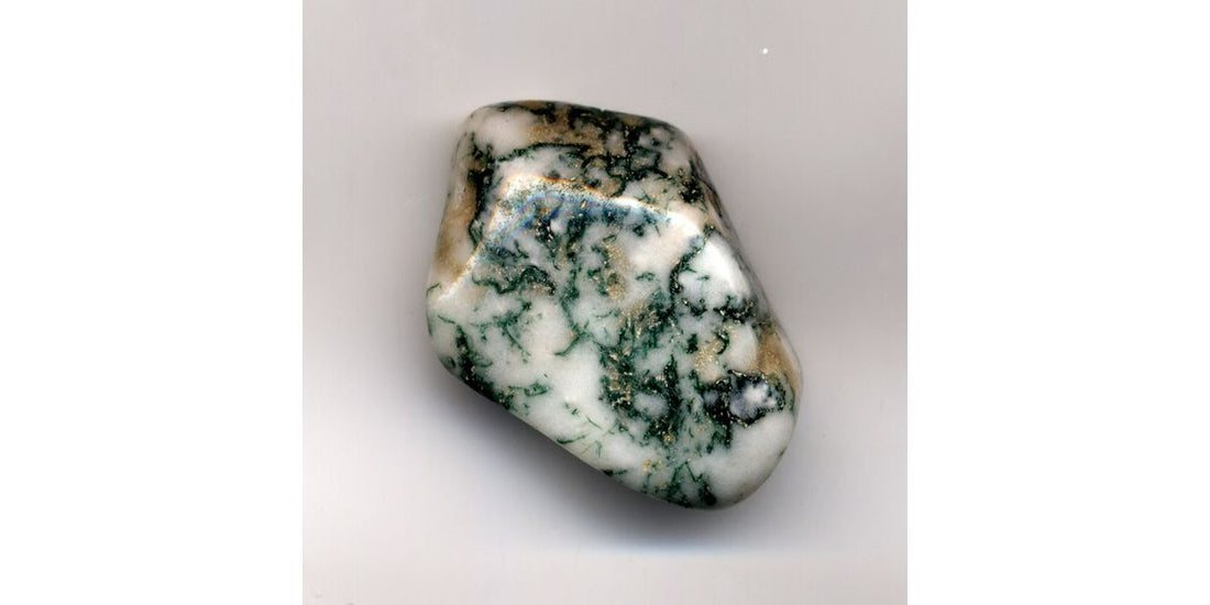 Tree Agate pebble showing green branching dendritic patterns on pale chalcedony; photo by Adrian Pingstone, public domain via Wikimedia Commons.