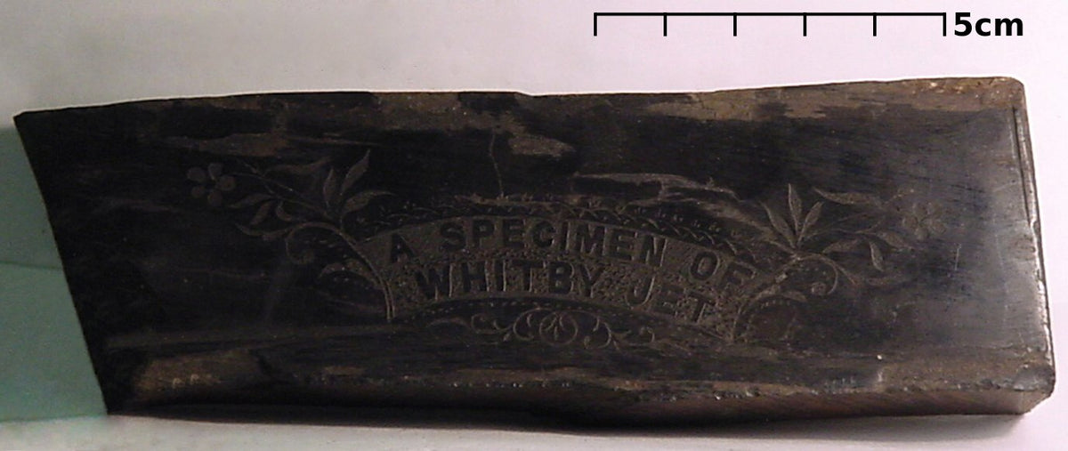Whitby Jet specimen from England, photographed from the Brigham Young University geology collection / USGS; public domain — Roosters Peacock crystal guide