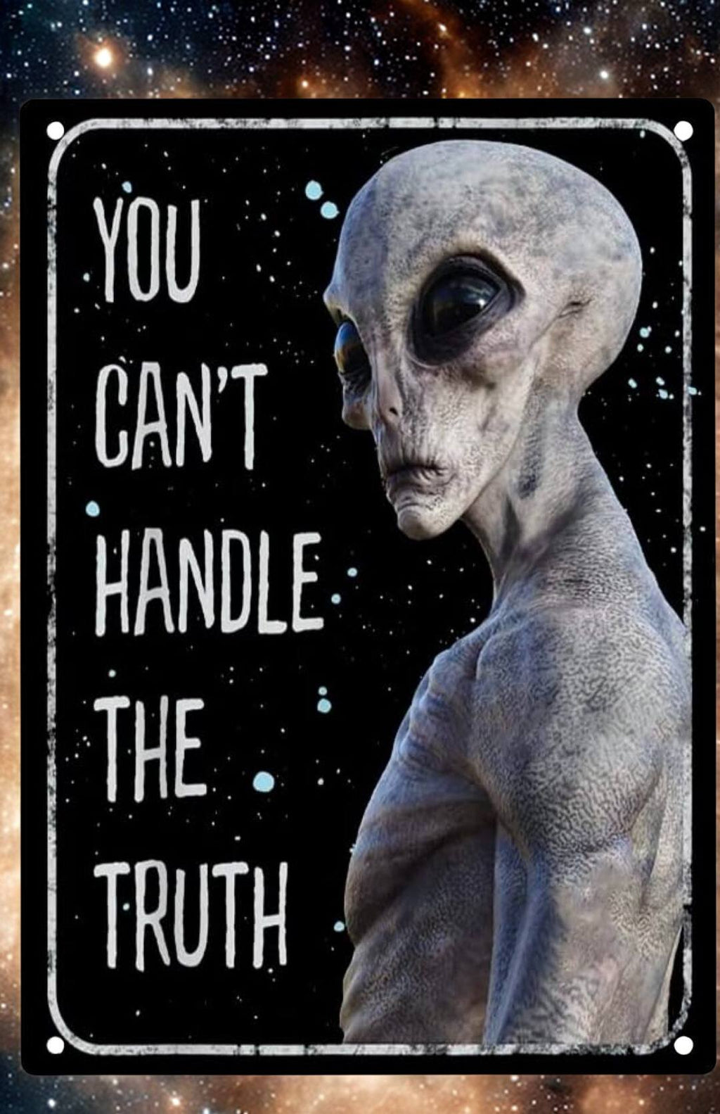 Retro Alien Conspiracy Metal Tin Sign 12x8 Inch - Humorous Area 51 UFO Wall Sign for Man Cave, She Shed, Bar, or Home Decor