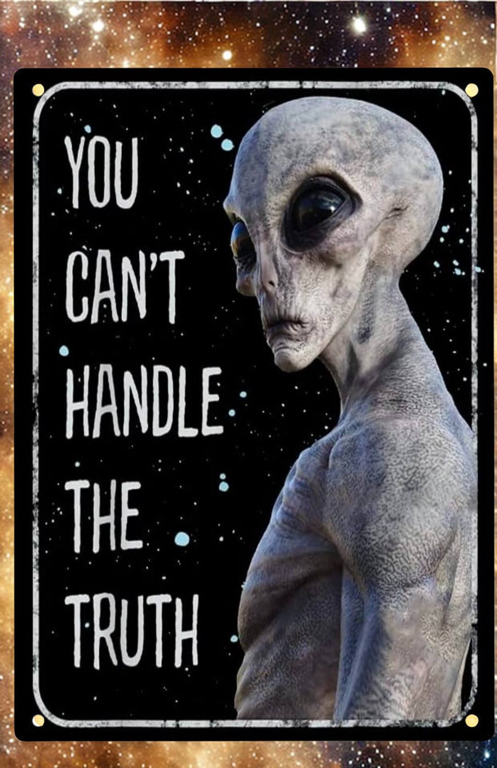 Retro Alien Conspiracy Metal Tin Sign 12x8 Inch - Humorous Area 51 UFO Wall Sign for Man Cave, She Shed, Bar, or Home Decor