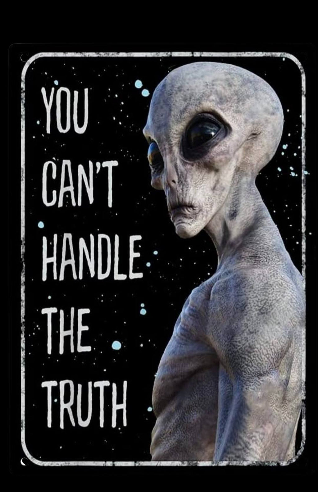 Retro Alien Conspiracy Metal Tin Sign 12x8 Inch - Humorous Area 51 UFO Wall Sign for Man Cave, She Shed, Bar, or Home Decor