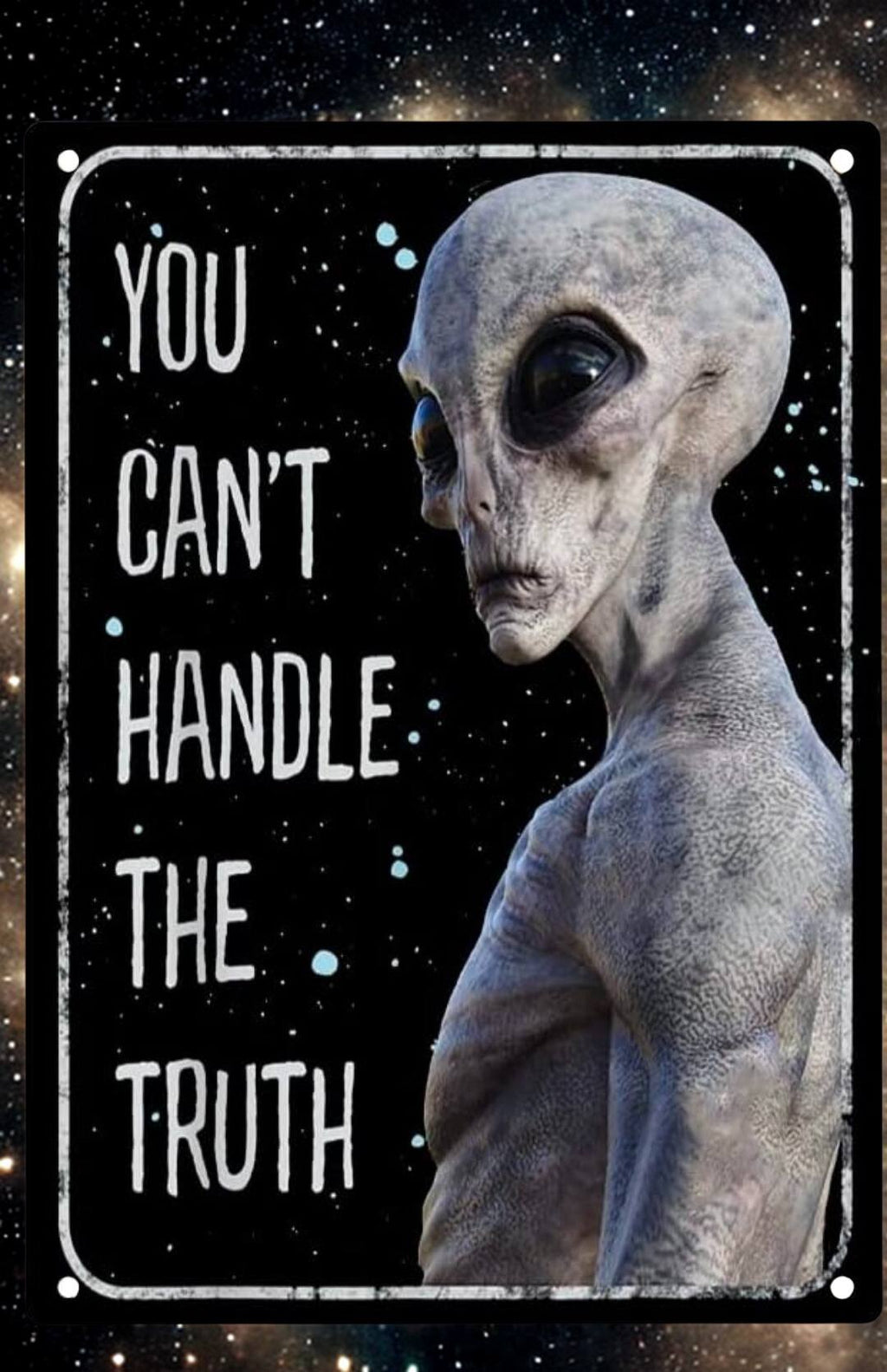 Retro Alien Conspiracy Metal Tin Sign 12x8 Inch - Humorous Area 51 UFO Wall Sign for Man Cave, She Shed, Bar, or Home Decor