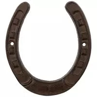 Rust Horseshoe Metal Wall Decor | Cast Iron Western & Farmhouse Home Accent | Good Luck Symbol