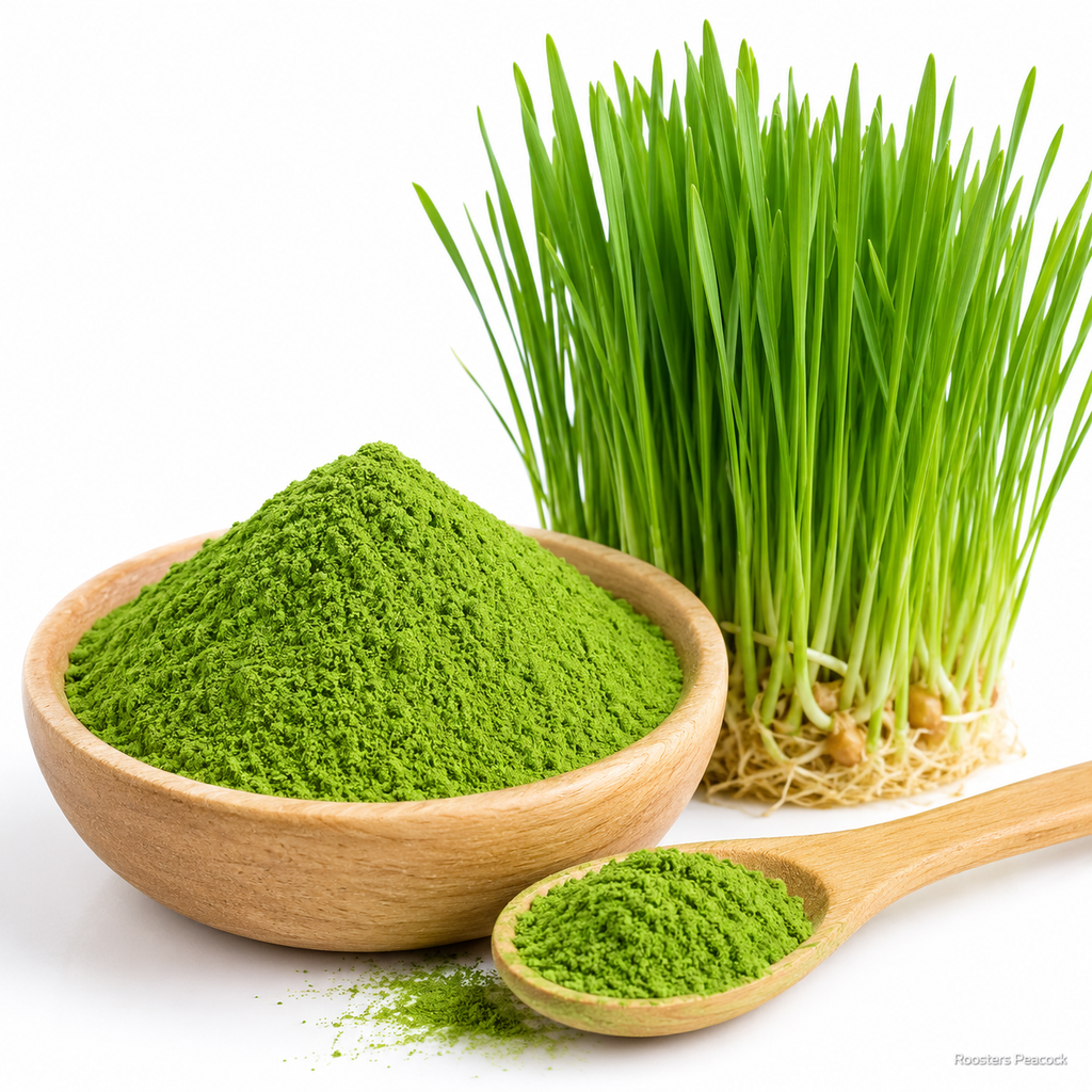 Wheatgrass Powder (Triticum sativum) – Premium Dried Botanical