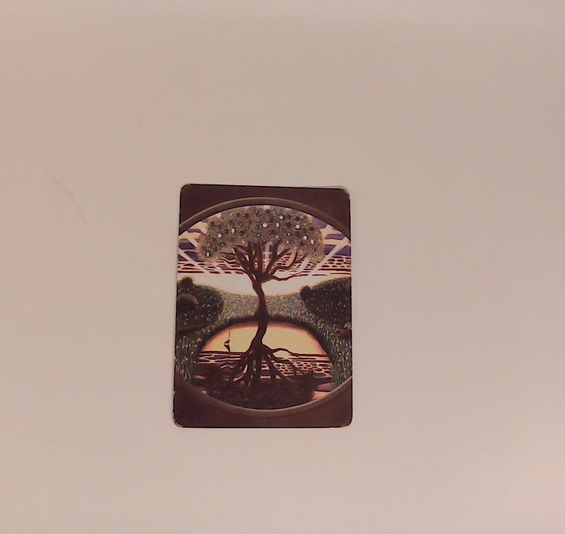 Earth Magic Oracle Cards By Steven Farmer 48 Cards W/Guidebook In Original Box Authentic