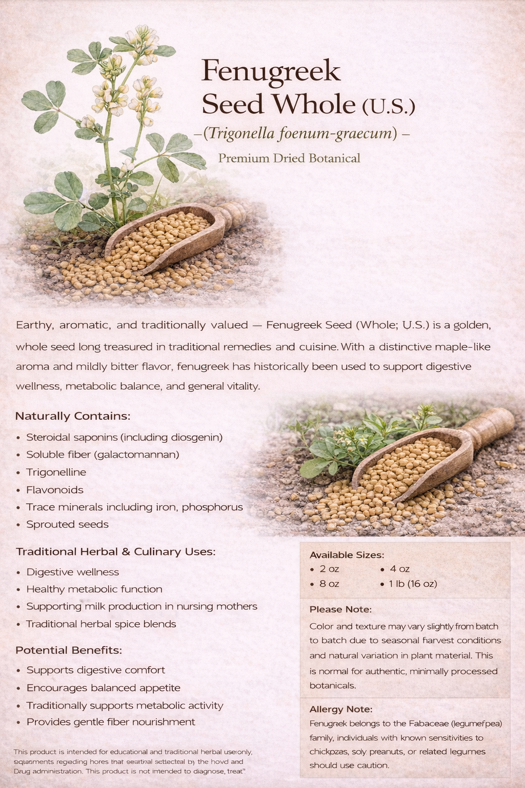 Fenugreek Seed Whole (Trigonella foenum-graecum) – Premium Dried Botanical