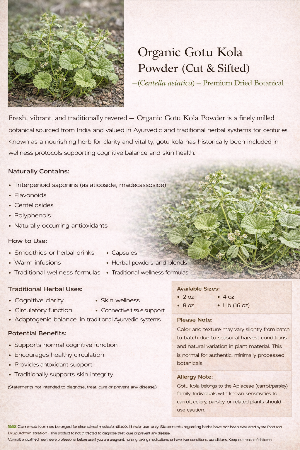 Organic Gotu Kola Powder (Centella asiatica) – Premium Dried Botanical