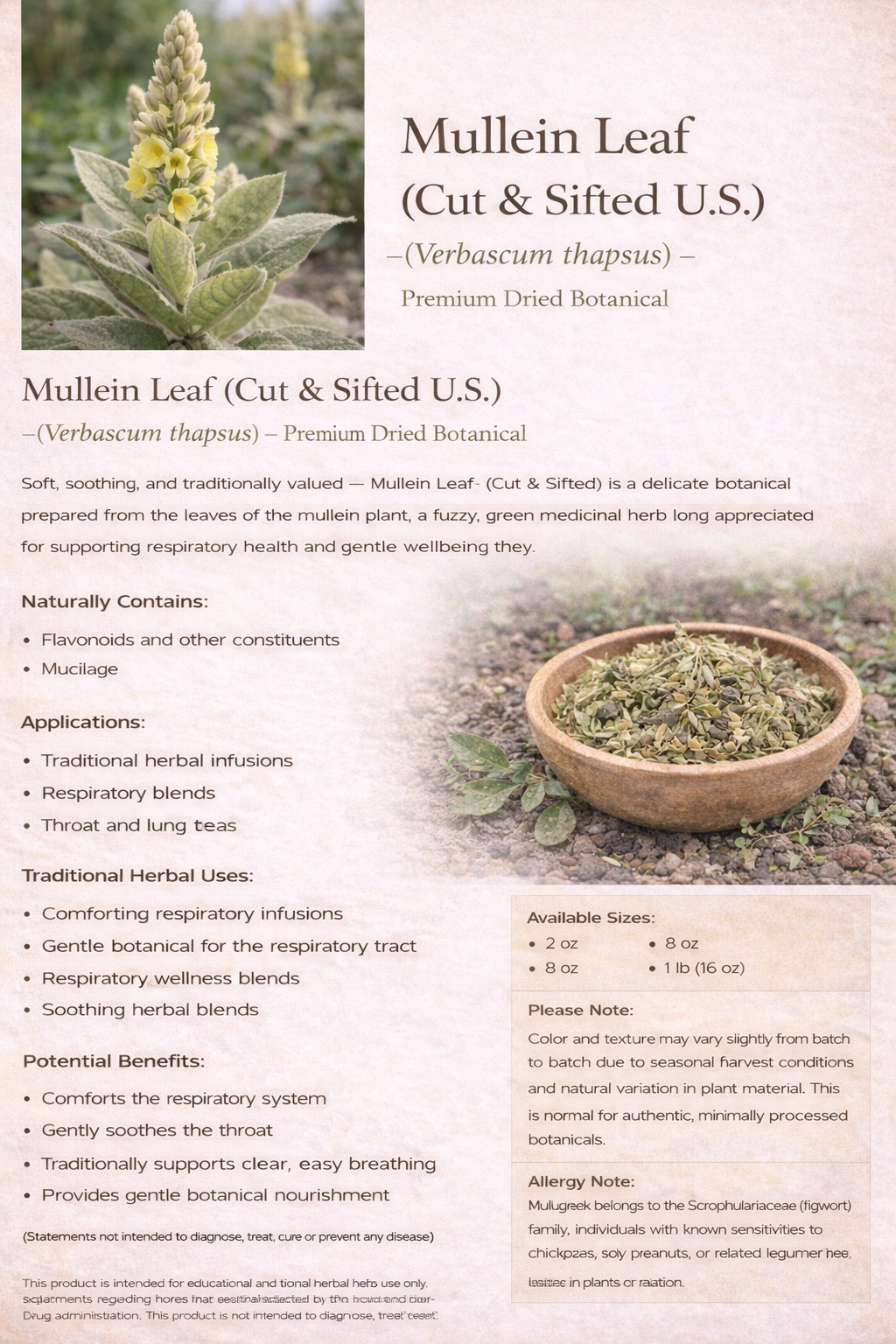 Mullein Leaf (Cut & Sifted U.S.) – (Verbascum thapsus) – Premium Dried Botanical