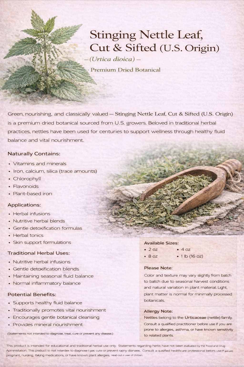 Nettle Leaf Powder (Urtica dioica) – Premium Dried Botanical