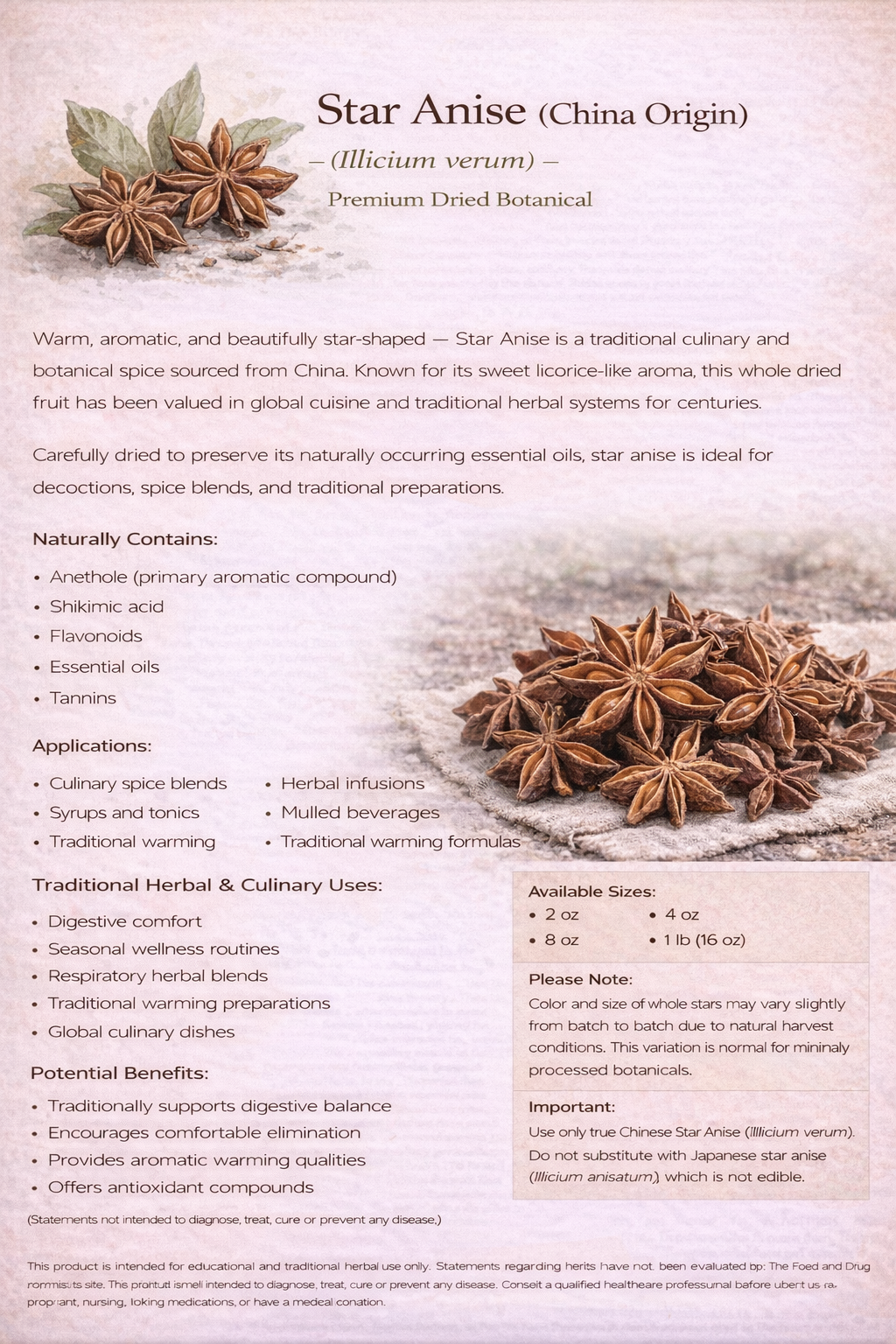 Star Anise (Illicium verum) – Whole Dried Botanical – China Origin