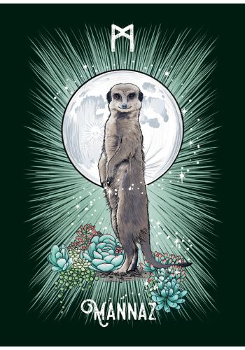 The Witch’s Familiar Runic Oracle