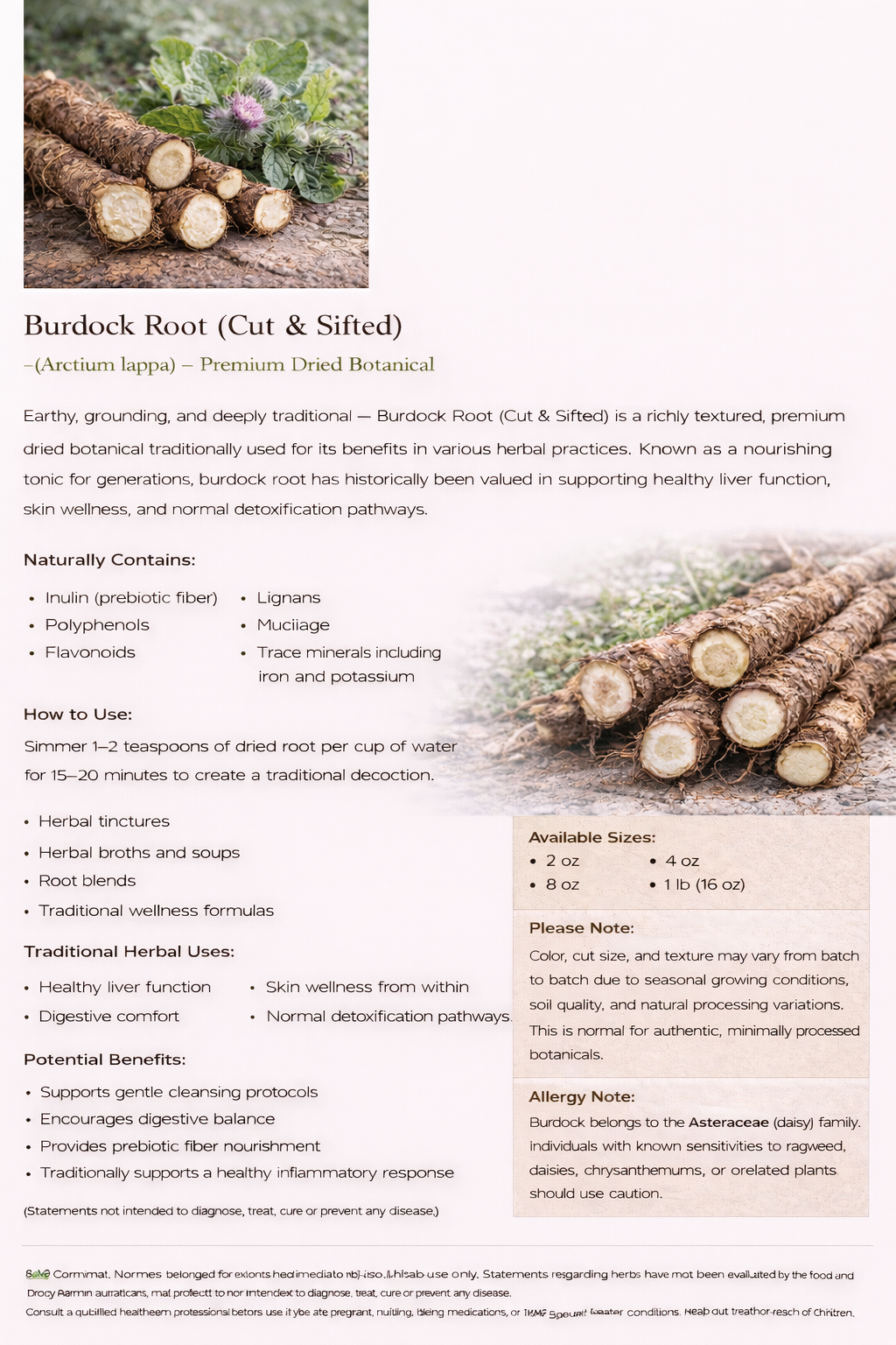 Burdock Root (Arctium lappa) c/s – Premium Dried Botanical