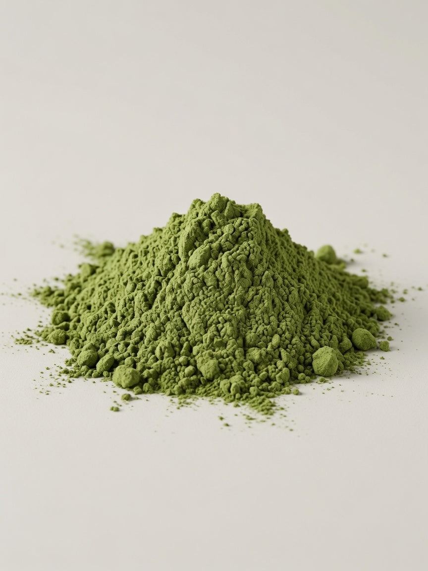 Wheatgrass (Triticum sativum) Premium Dried Botanical info card by Roosters Peacock