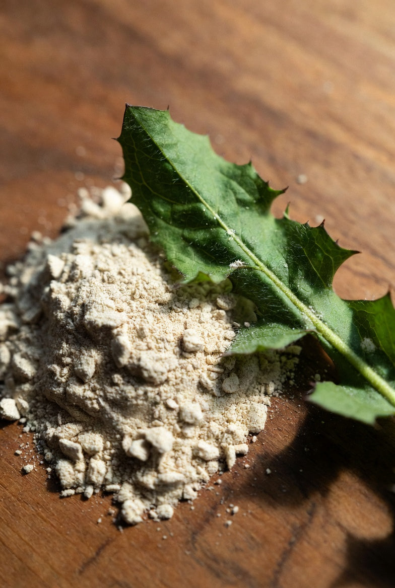 Dandelion Leaf Powder (Taraxacum officinale) – Premium Dried Botanical