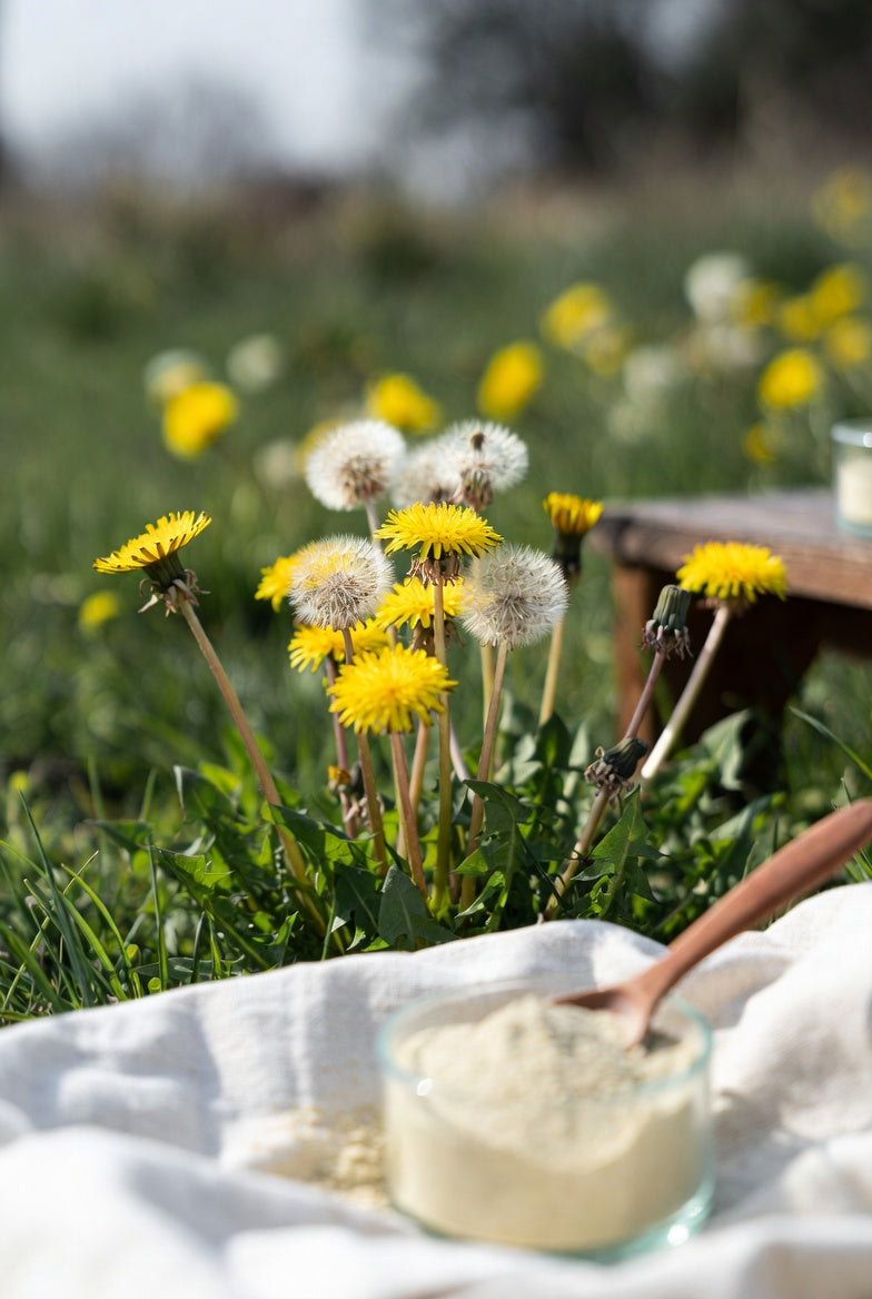 Dandelion Leaf Powder (Taraxacum officinale) – Premium Dried Botanical