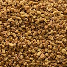 Fenugreek Seed Whole (Trigonella foenum-graecum) – Premium Dried Botanical