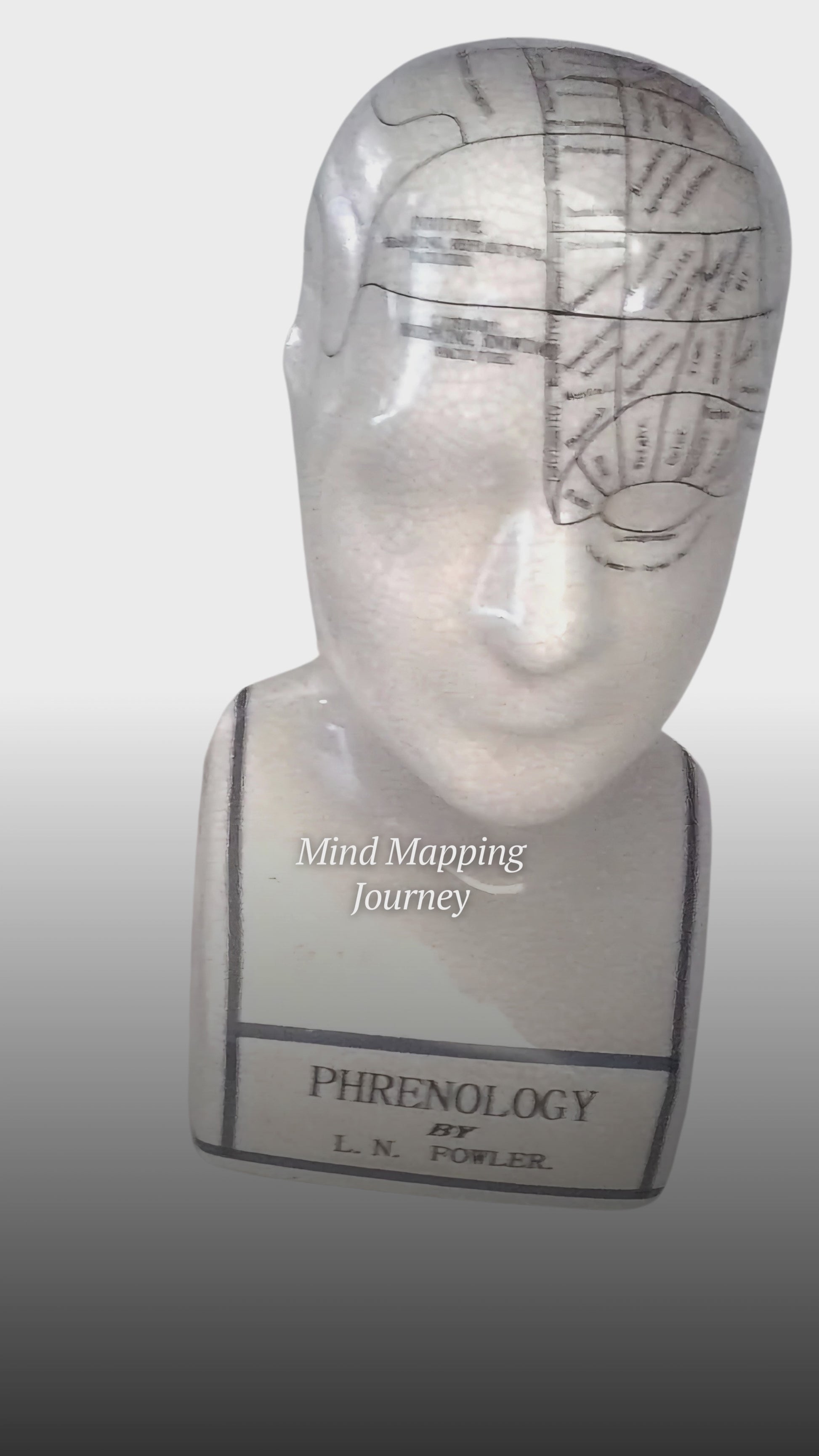 L.N. FOWLER 9" PHRENOLOGY HEAD BUST Science Psychology CRACKLE GLAZE Out Of Rooster Peacocks Personal Collection