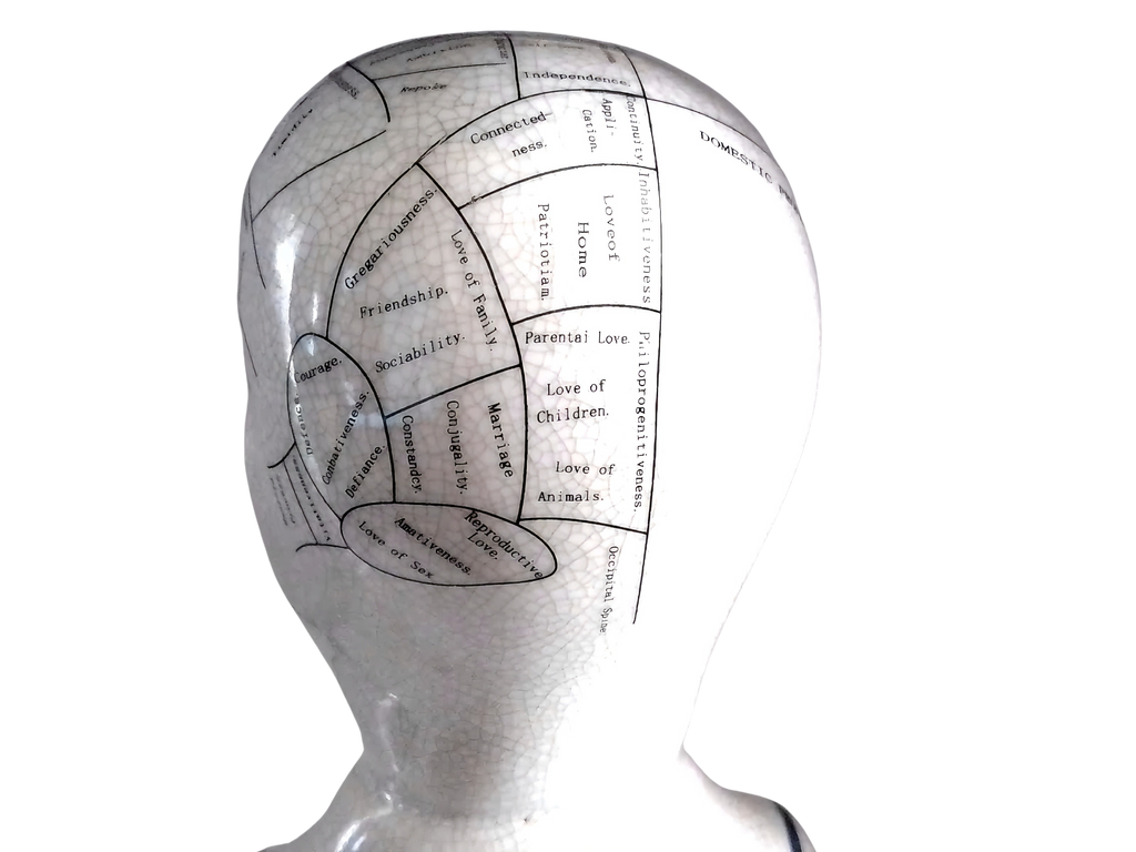 L.N. FOWLER 9" PHRENOLOGY HEAD BUST Science Psychology CRACKLE GLAZE Out Of Rooster Peacocks Personal Collection