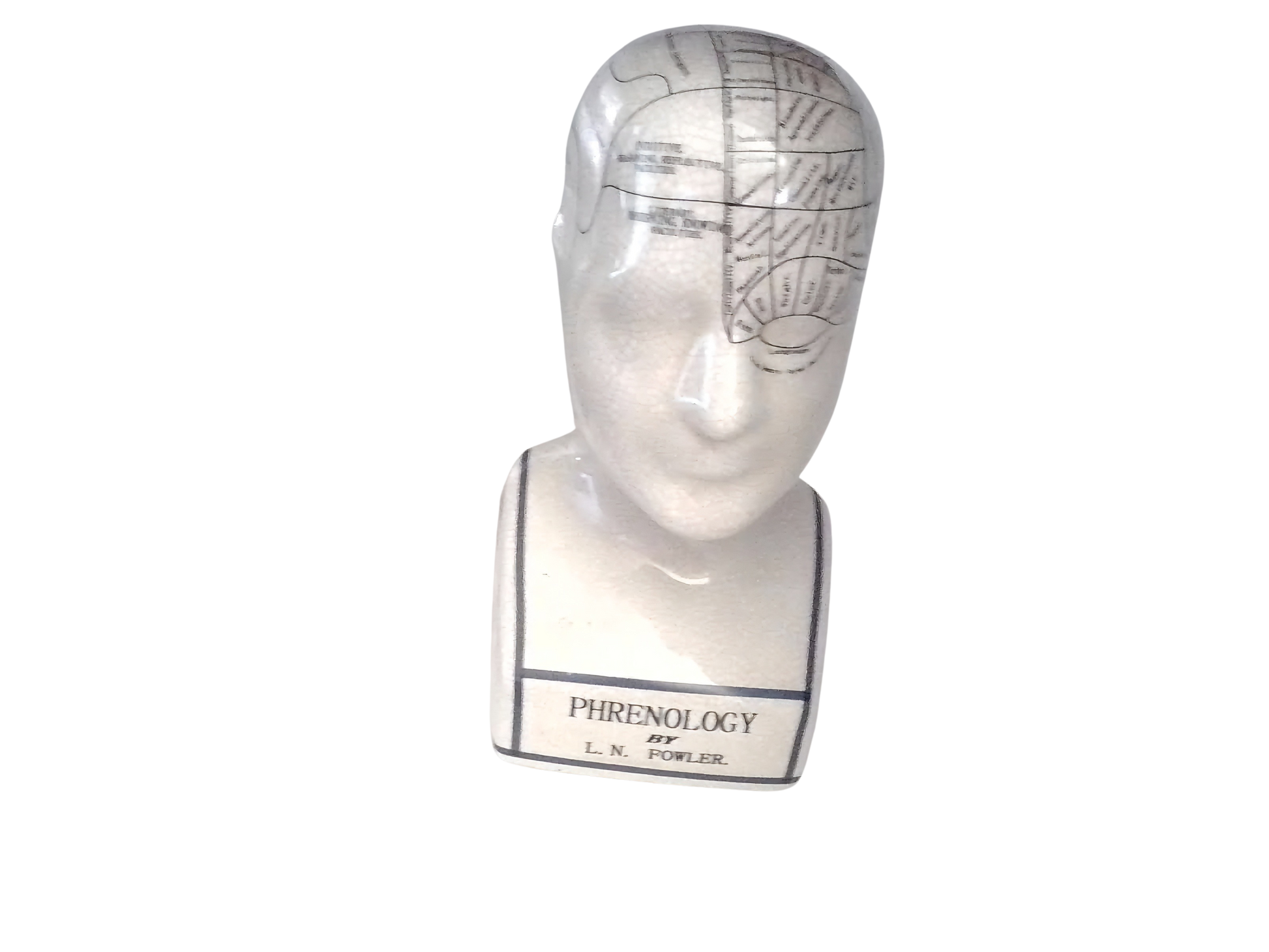 L.N. FOWLER 9" PHRENOLOGY HEAD BUST Science Psychology CRACKLE GLAZE Out Of Rooster Peacocks Personal Collection