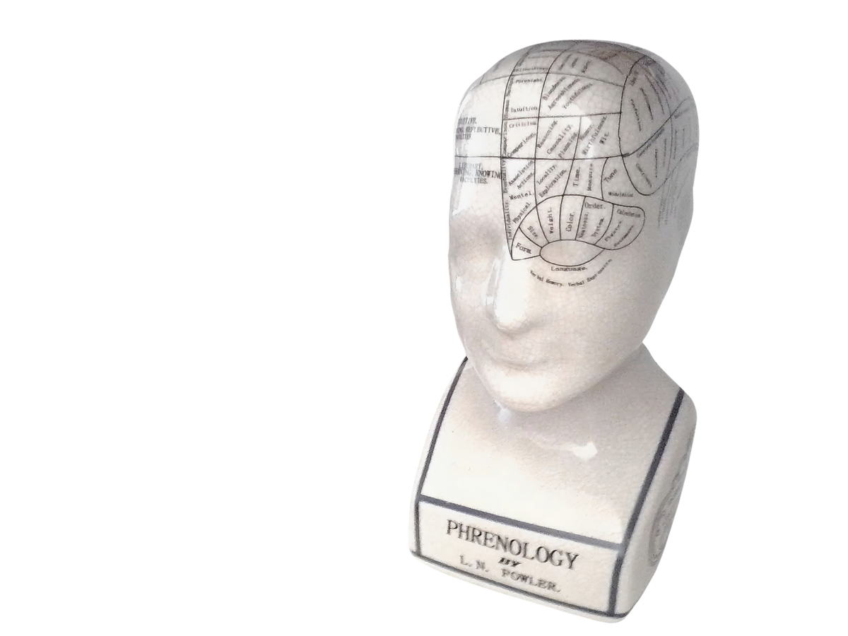 L.N. FOWLER 9" PHRENOLOGY HEAD BUST Science Psychology CRACKLE GLAZE Out Of Rooster Peacocks Personal Collection