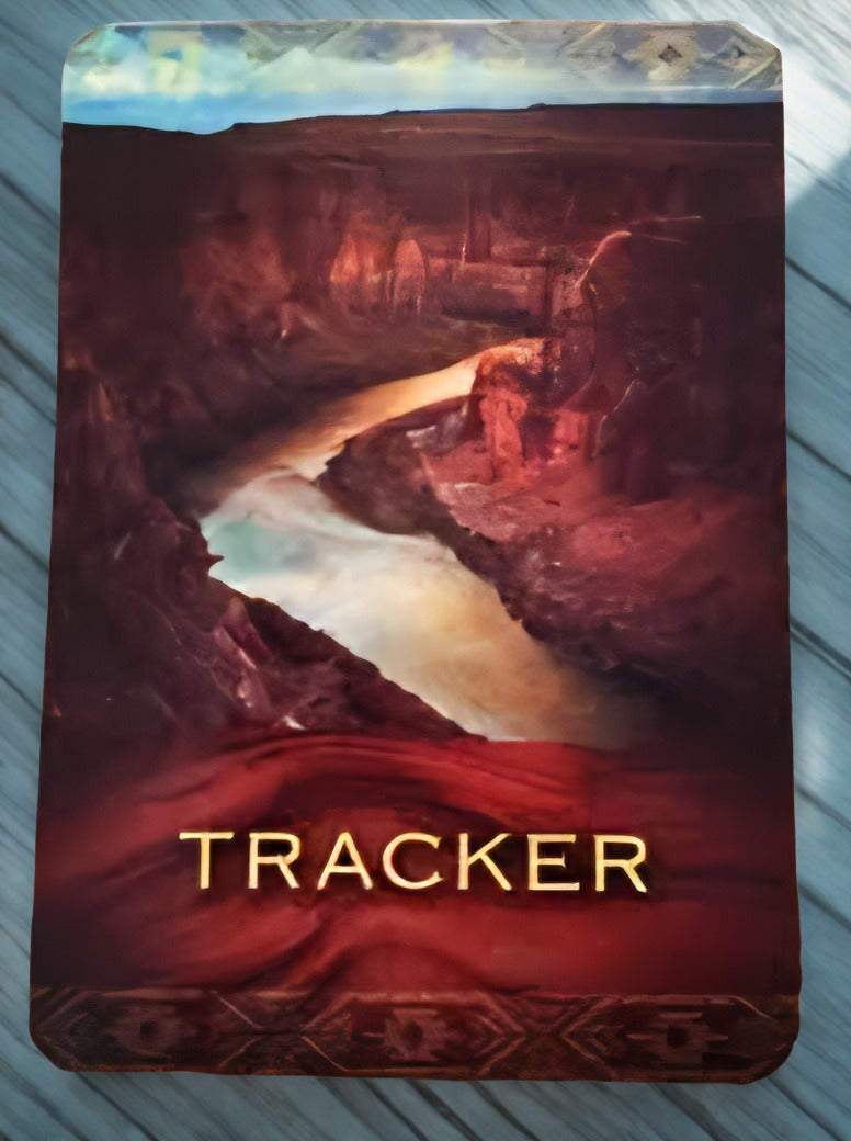 Native Spirit Oracle Card Deck & Guidebook | 44-Card Deck by Denise Linn Authentic