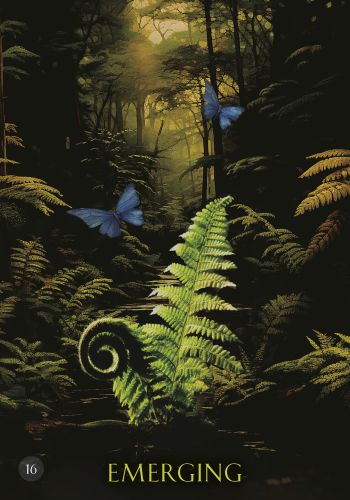 Soul Coaching Oracle Cards A 52-Card Deck & Guidebook - Revised Edition Authentic Deck