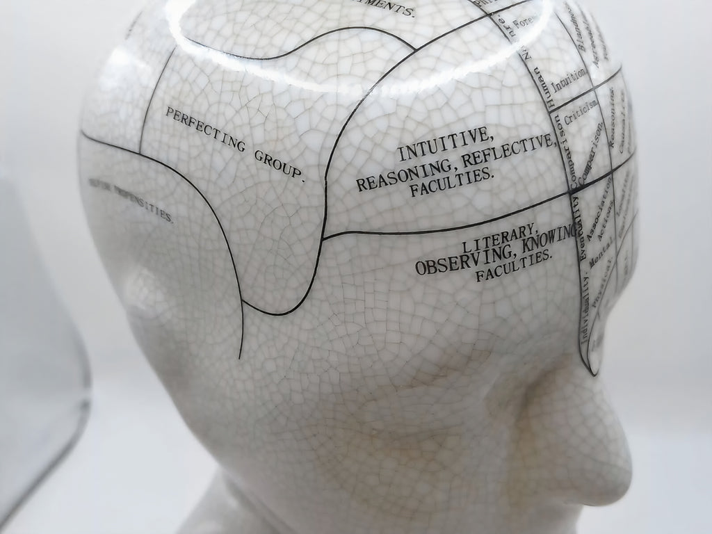 L.N. FOWLER 9" PHRENOLOGY HEAD BUST Science Psychology CRACKLE GLAZE Out Of Rooster Peacocks Personal Collection