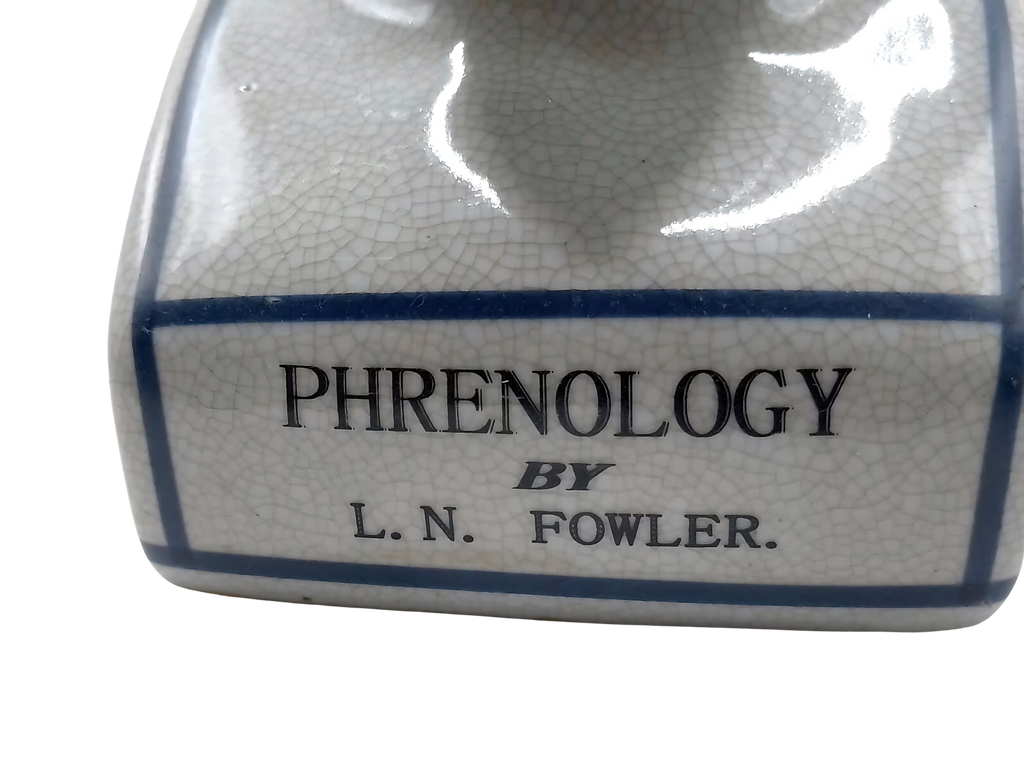 L.N. FOWLER 9" PHRENOLOGY HEAD BUST Science Psychology CRACKLE GLAZE Out Of Rooster Peacocks Personal Collection