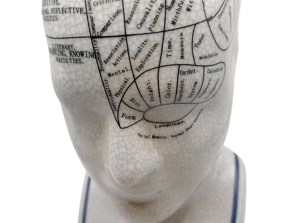 L.N. FOWLER 9" PHRENOLOGY HEAD BUST Science Psychology CRACKLE GLAZE Out Of Rooster Peacocks Personal Collection
