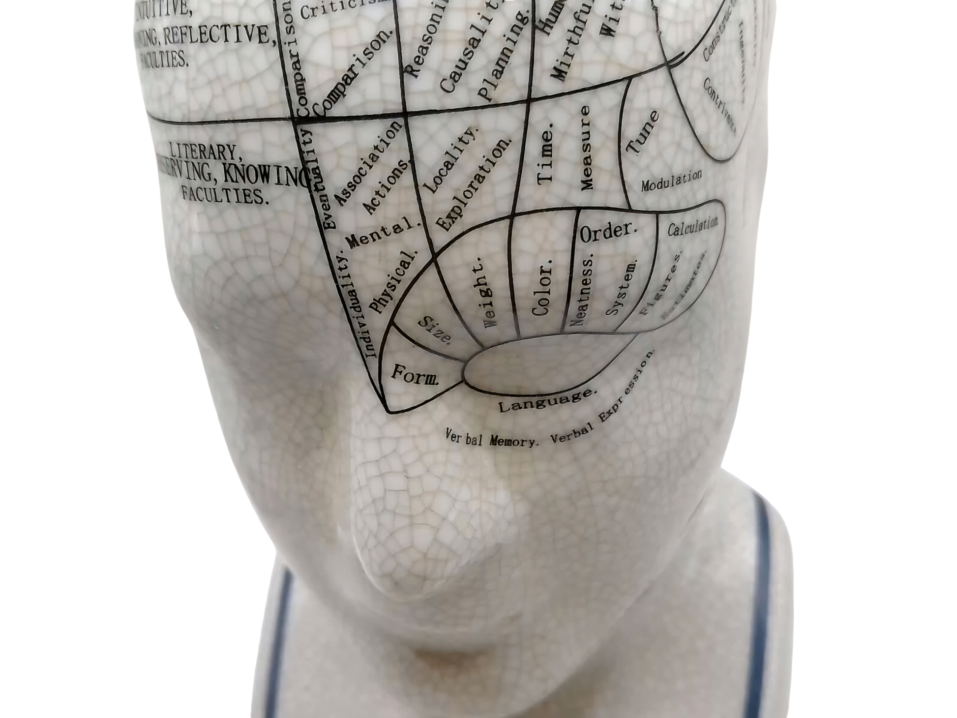 L.N. FOWLER 9" PHRENOLOGY HEAD BUST Science Psychology CRACKLE GLAZE Out Of Rooster Peacocks Personal Collection