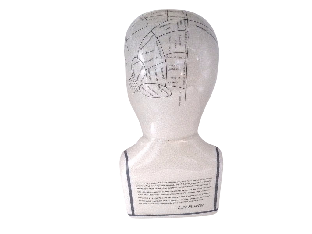 L.N. FOWLER 9" PHRENOLOGY HEAD BUST Science Psychology CRACKLE GLAZE Out Of Rooster Peacocks Personal Collection