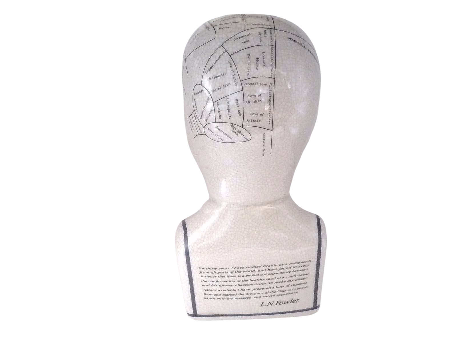 L.N. FOWLER 9" PHRENOLOGY HEAD BUST Science Psychology CRACKLE GLAZE Out Of Rooster Peacocks Personal Collection
