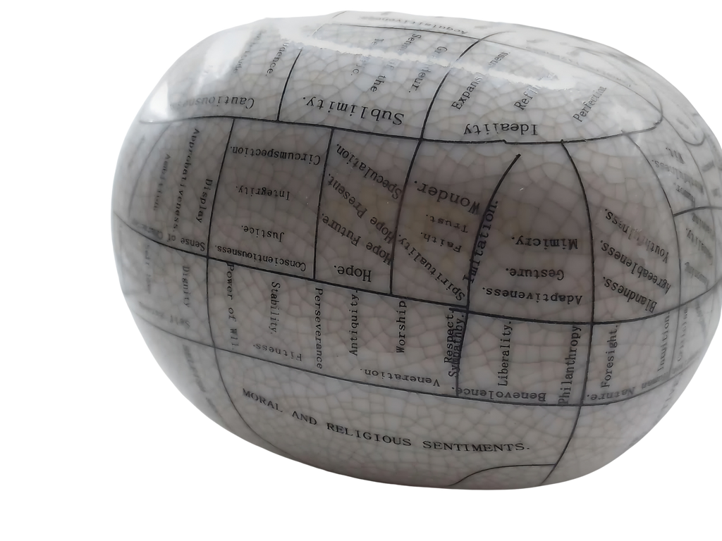 L.N. FOWLER 9" PHRENOLOGY HEAD BUST Science Psychology CRACKLE GLAZE Out Of Rooster Peacocks Personal Collection