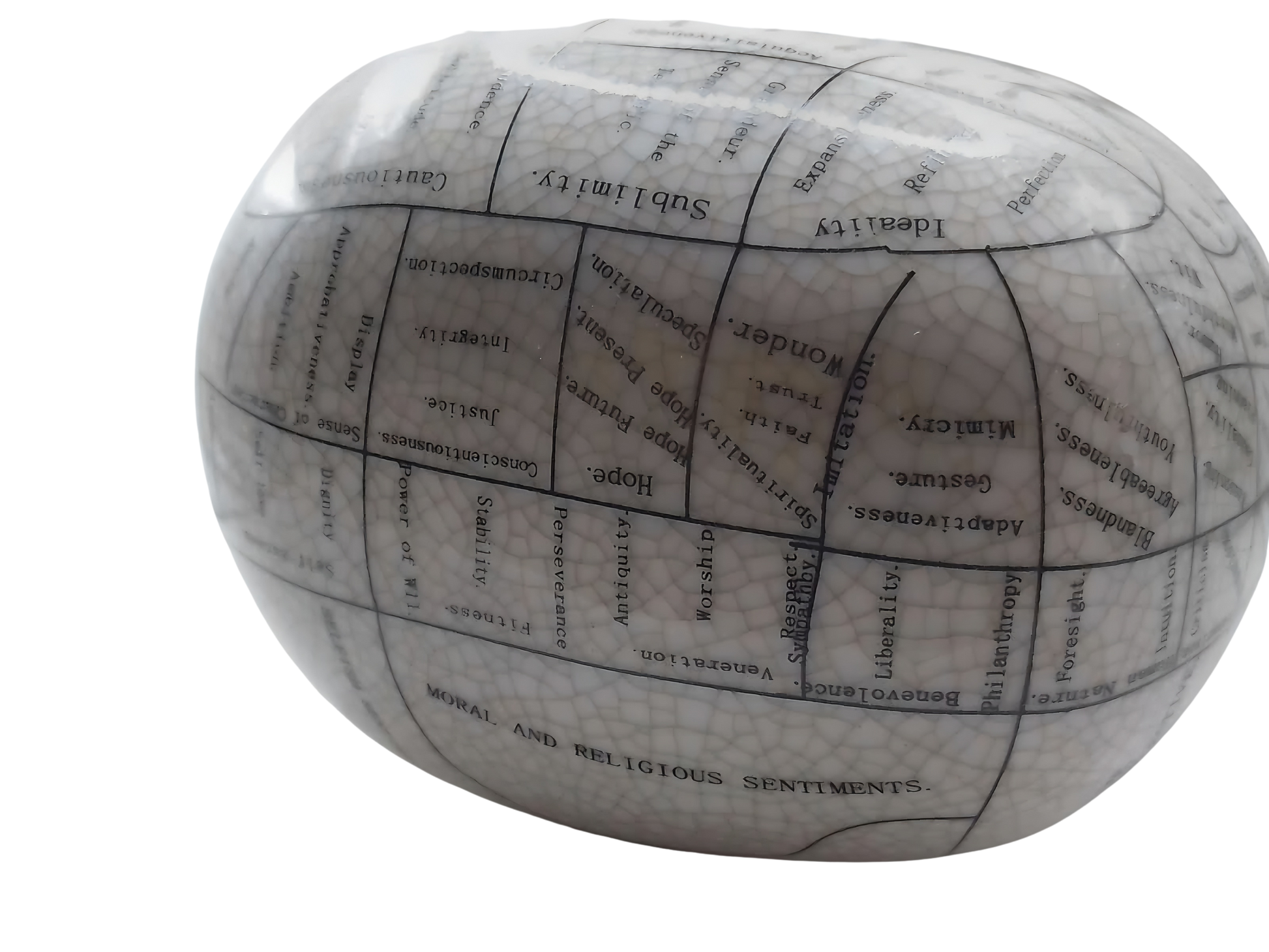 L.N. FOWLER 9" PHRENOLOGY HEAD BUST Science Psychology CRACKLE GLAZE Out Of Rooster Peacocks Personal Collection